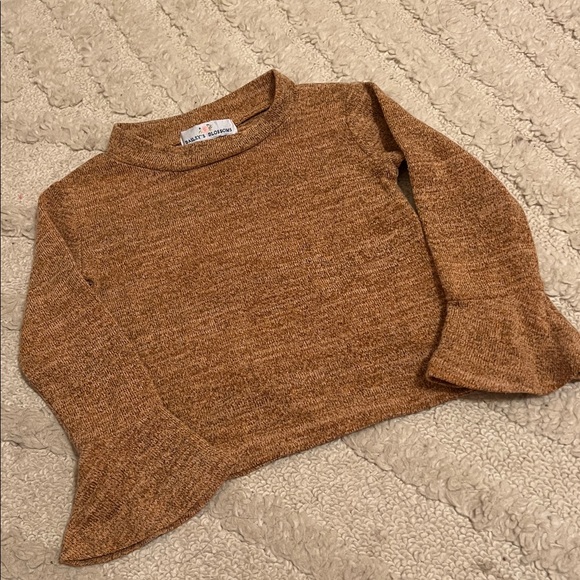 Baileys Blossoms Other - Baileys Blossoms 9-12 Sweater